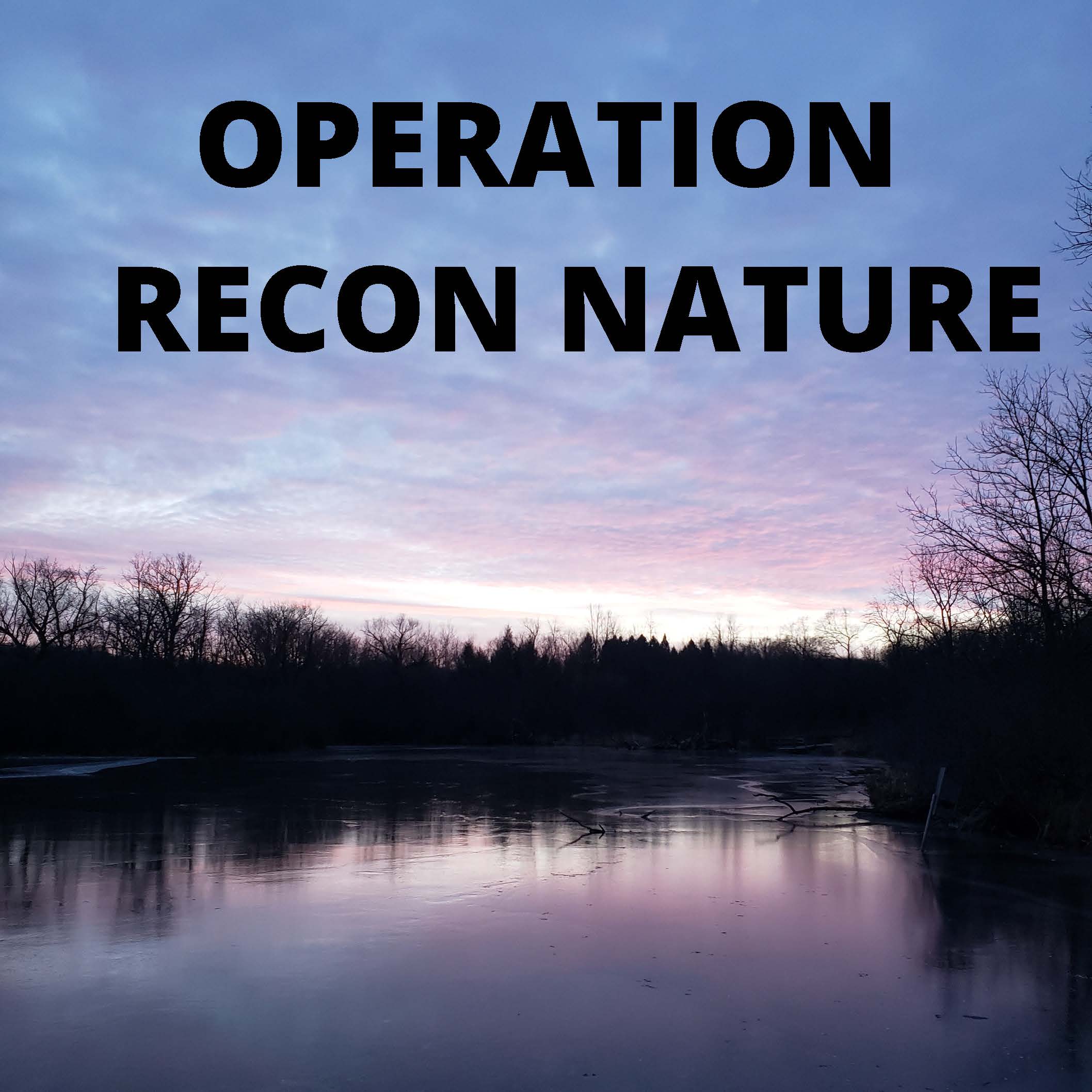 operation recon tile