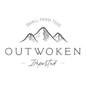 Outwoken Logo-01 - Brooke L. Gilley