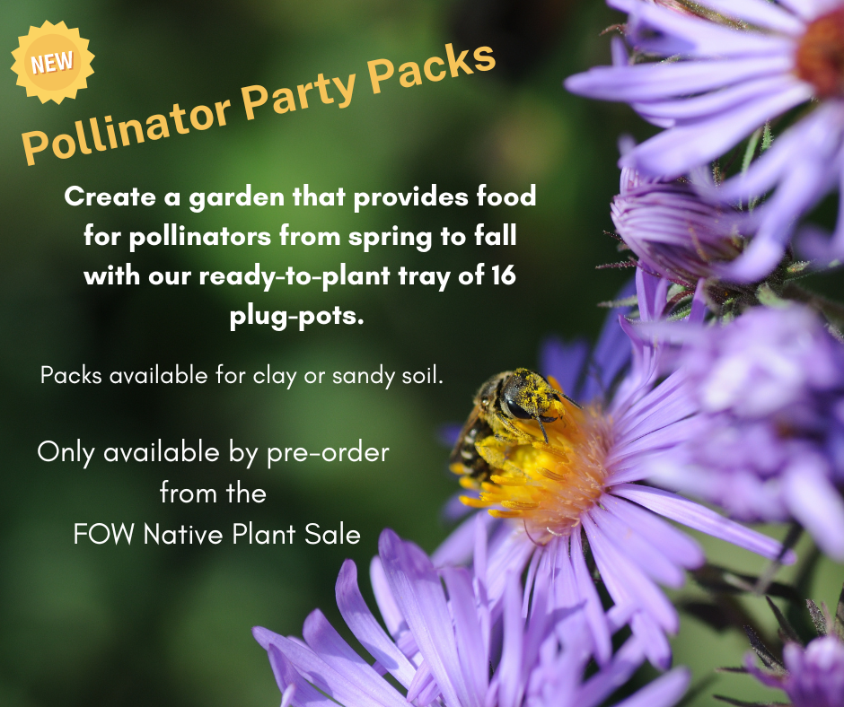 Pollinator Party Packs