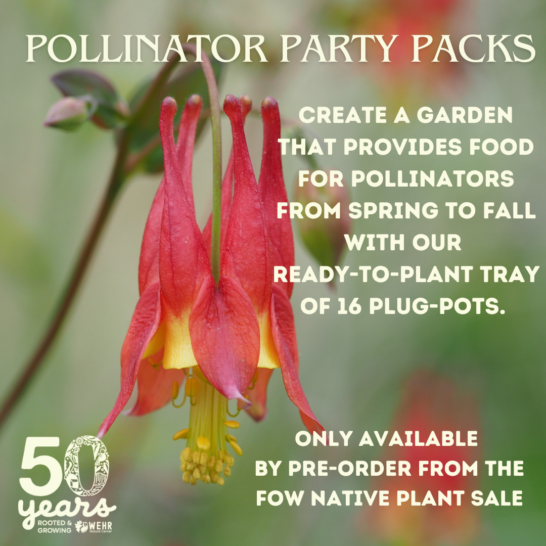 POLLINATOR PARTY PACKS