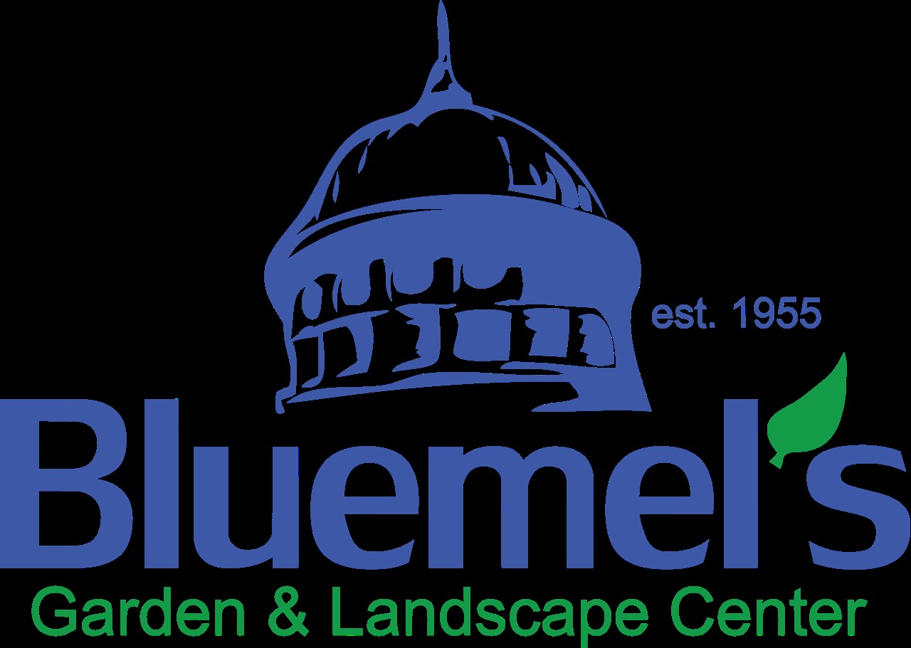 bluemels logo 1 (002)