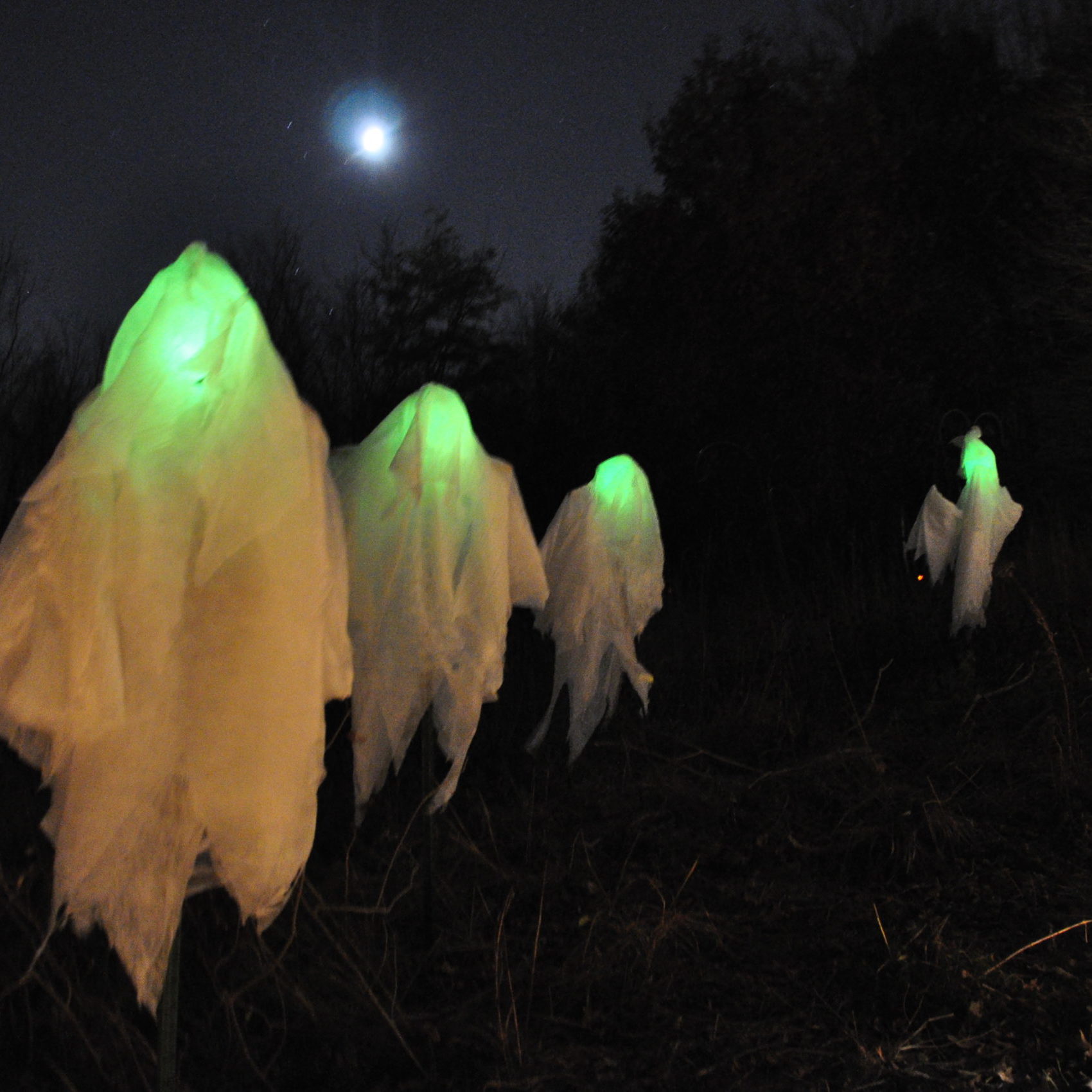 Ghost Parade Halloween 2012 065