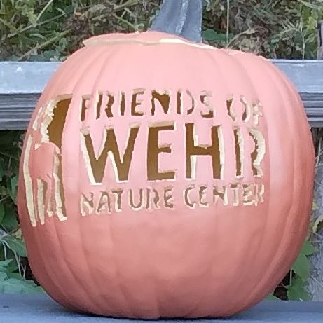 Wehr-Pumpkin